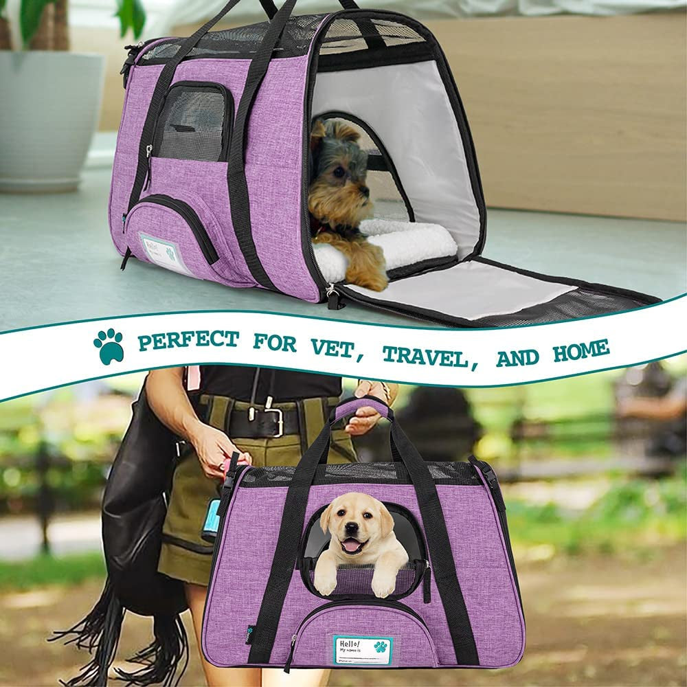 Airline Approved Pet Carrier for Small Dog