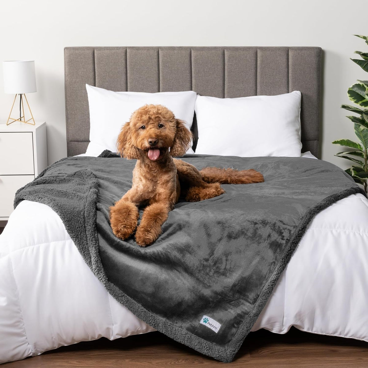 Waterproof Dog Blanket 90x90 In