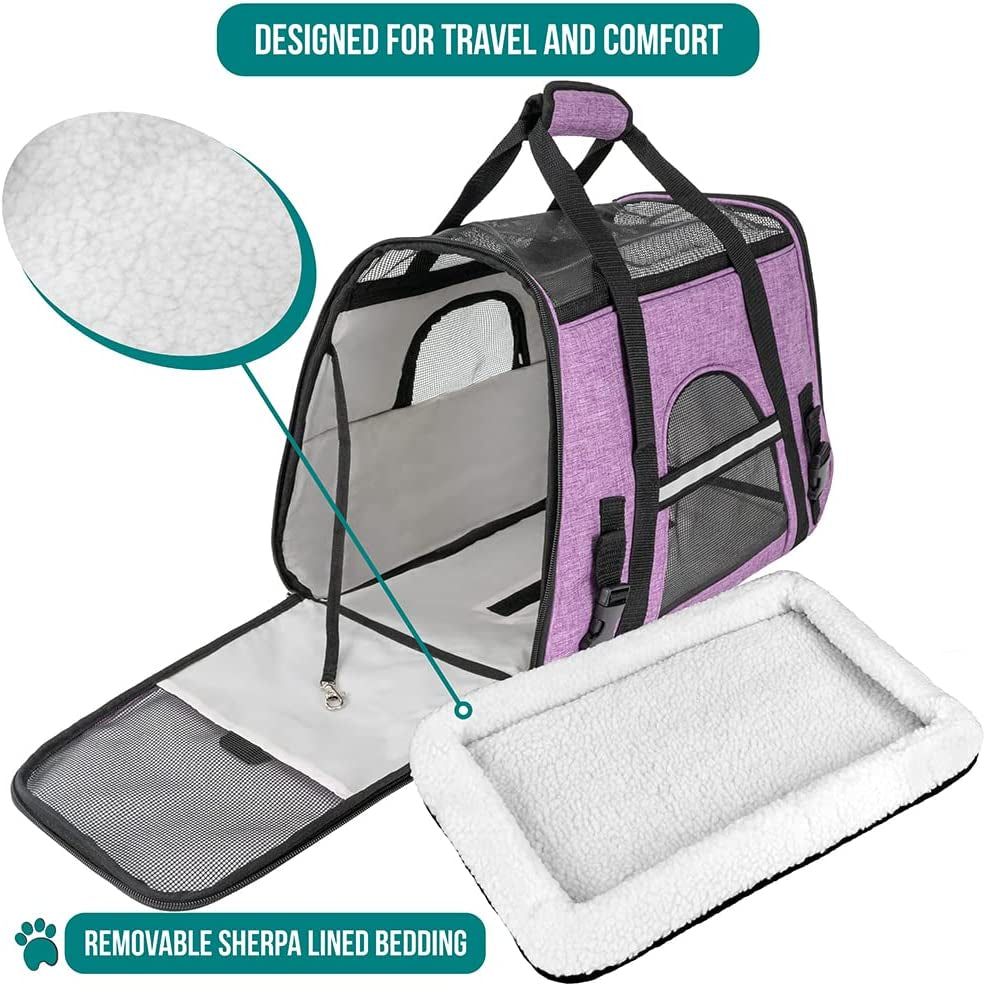 Airline Approved Pet Carrier for Small Dog