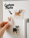 Custom Photo Irregular Shape Fridge Magnet