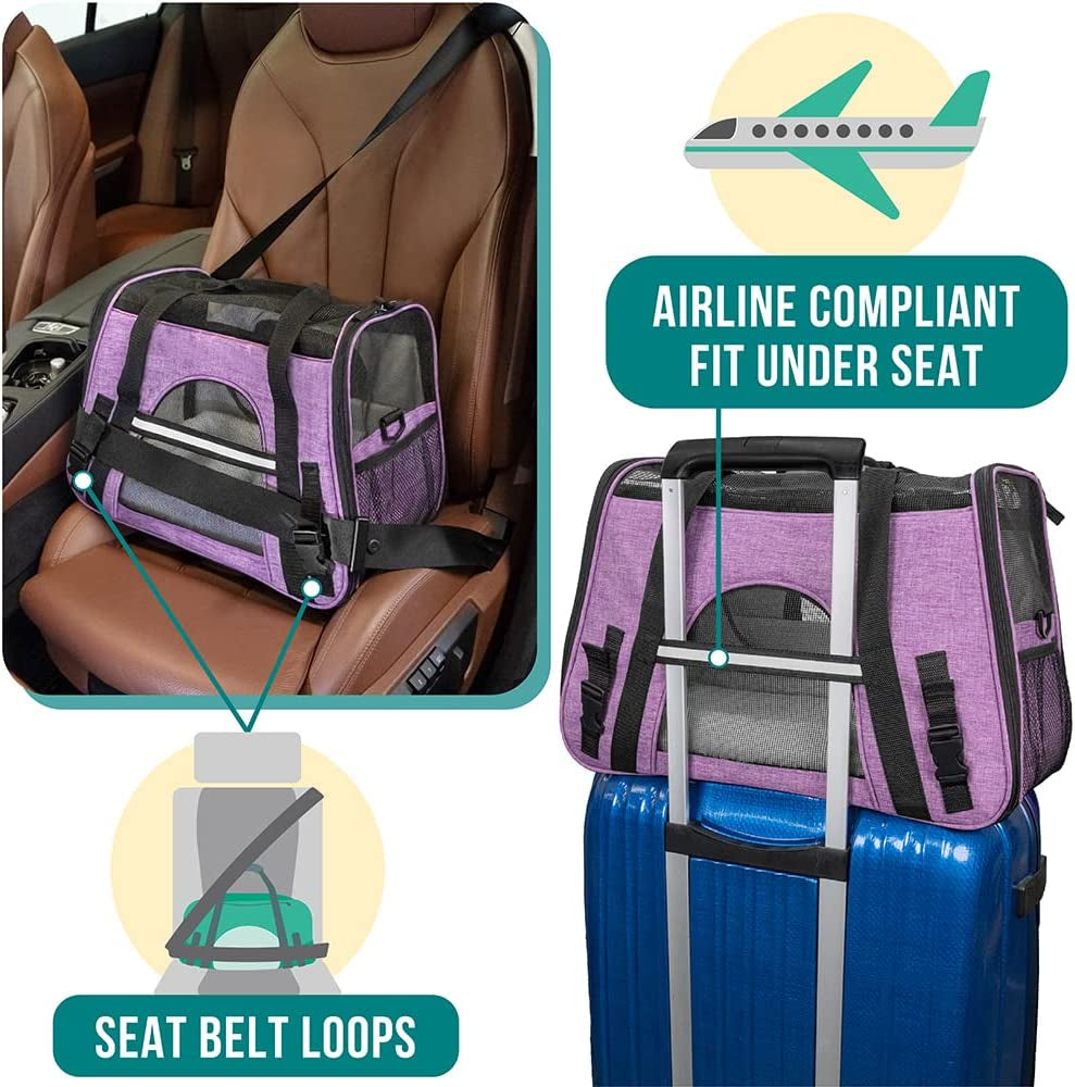 Airline Approved Pet Carrier for Small Dog