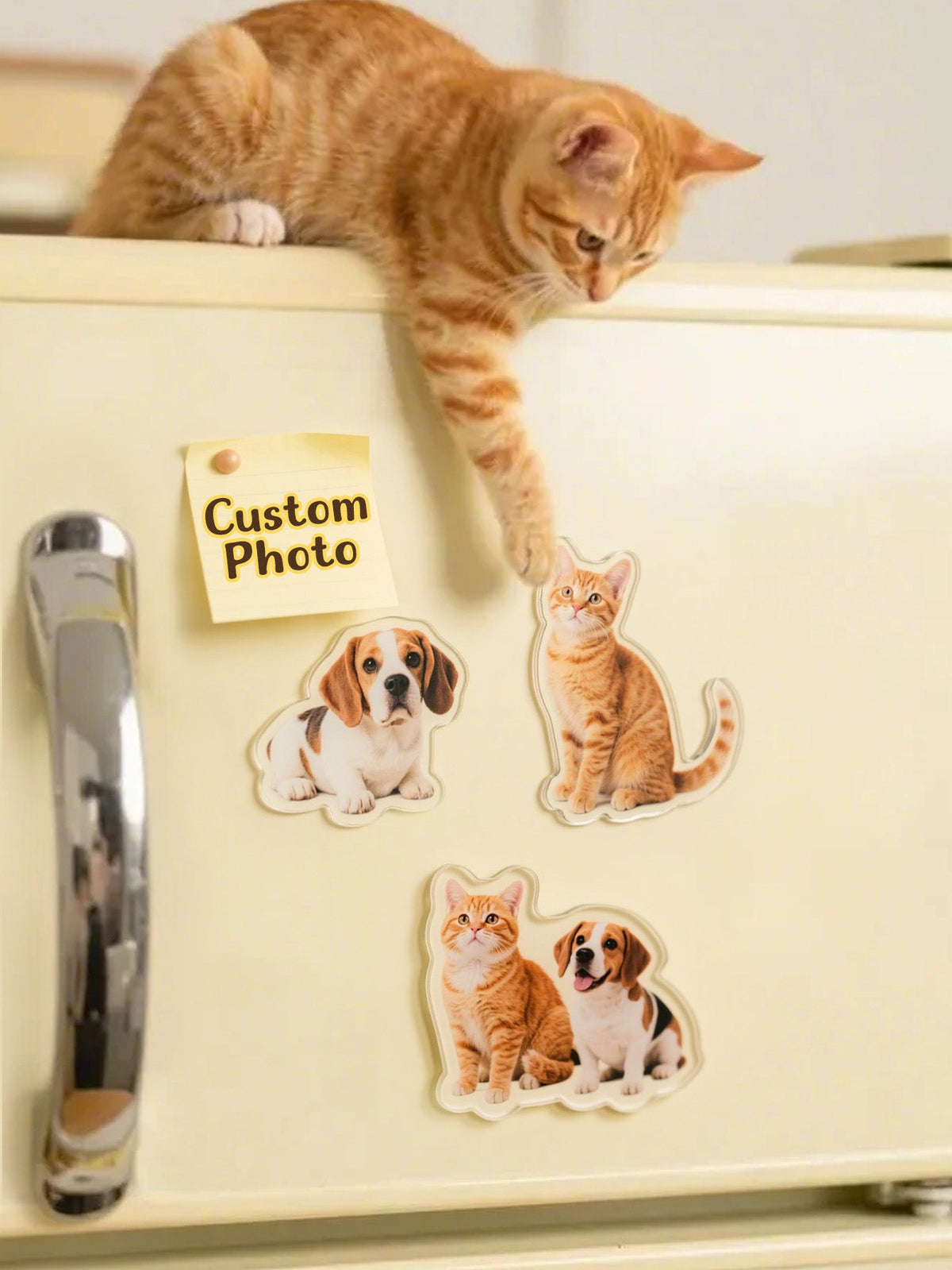 Custom Photo Irregular Shape Fridge Magnet